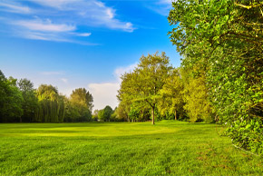 Околна среда